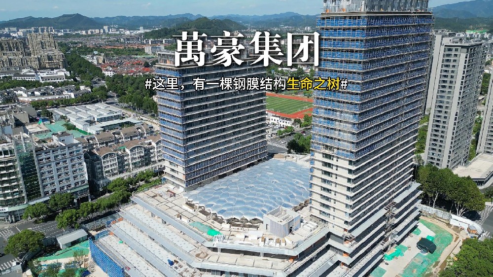 鋼膜結(jié)構(gòu)組成的生命之樹